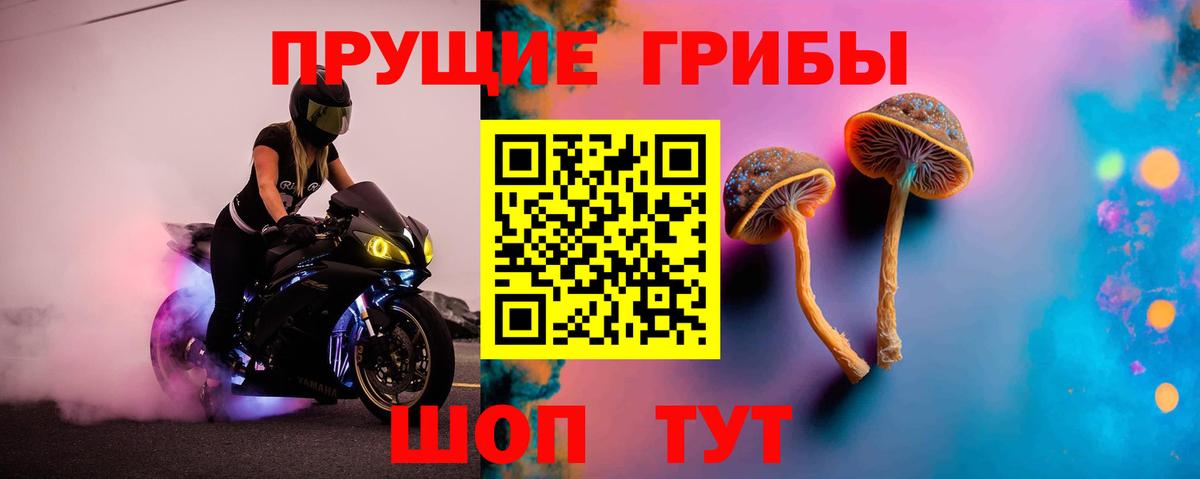 Новосибирск  Галлюциногенные грибы ЛСД  что такое наркотик  Вход с VPN 